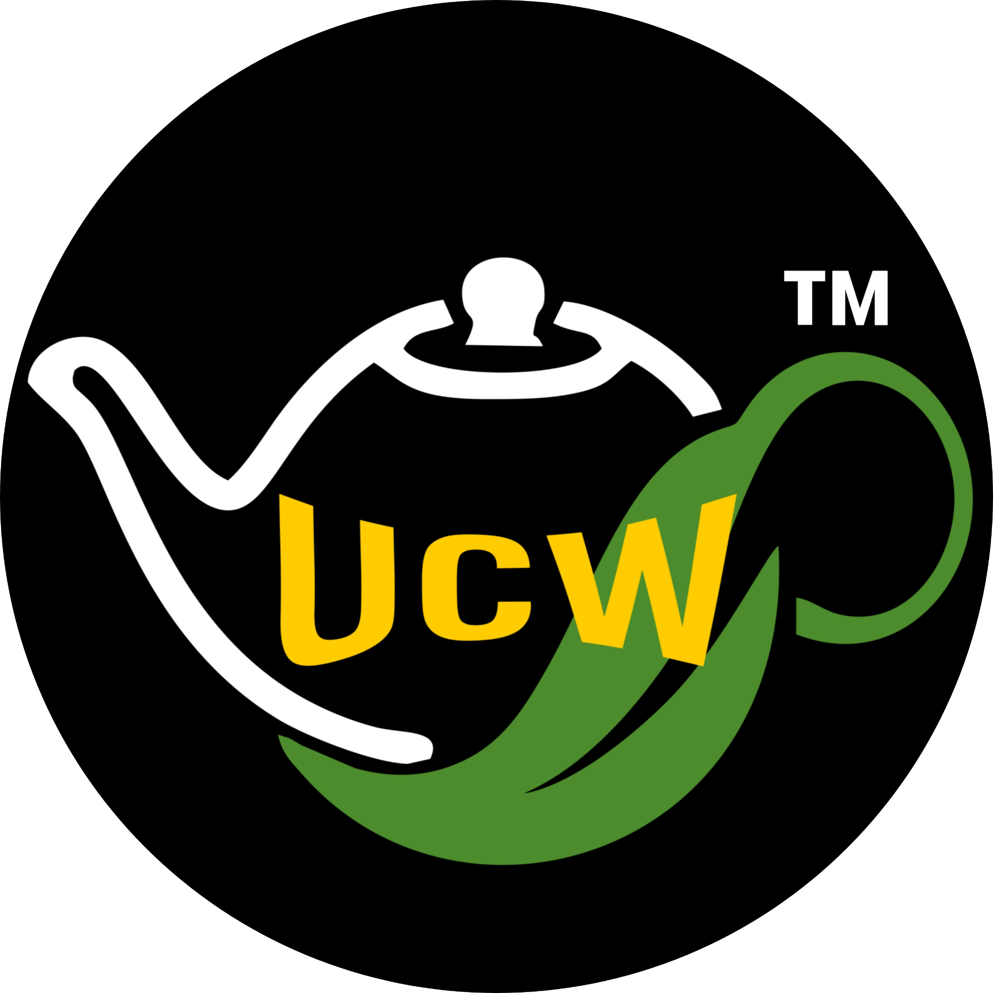 Usmani Chai Wala